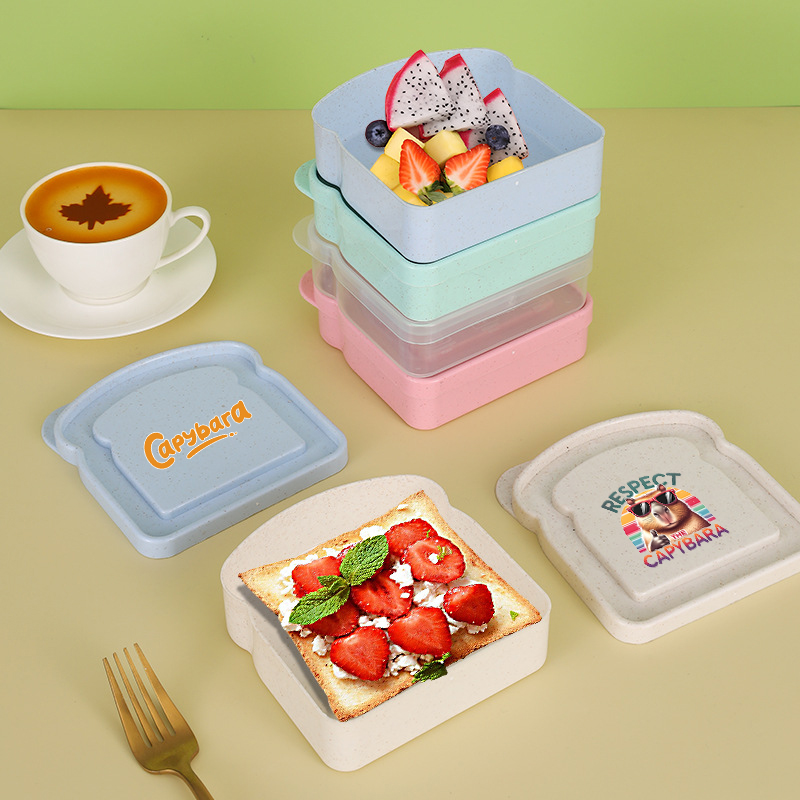 Capybara Sandwich Food Storage - Food Storage Box Plastic recension och pris
