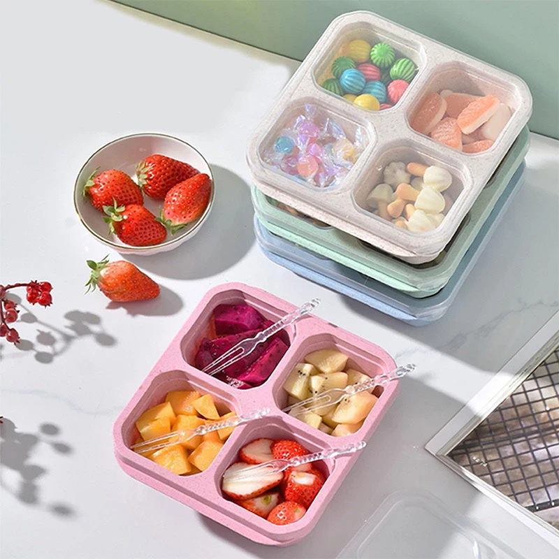 4 Grids Food Storage Box Porta - Food Storage Box Plastic recension och pris