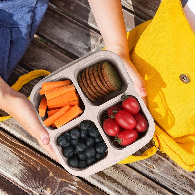 4 Grids Food Storage Box Porta - Food Storage Box Plastic recension och pris