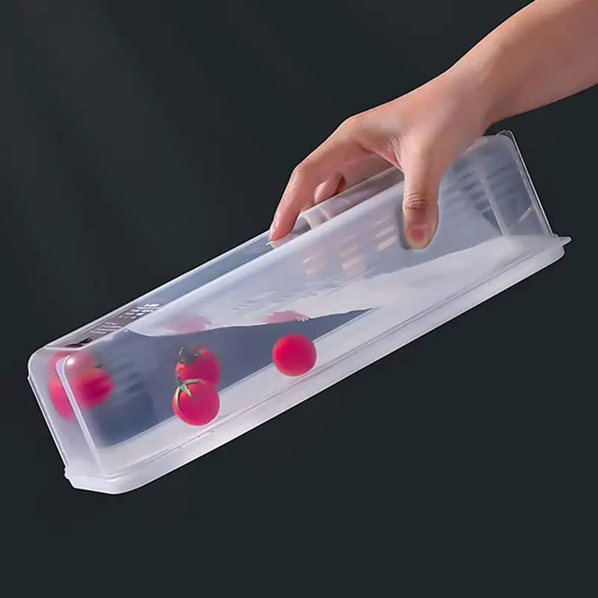 1 Plastic Transparent Storage  - Food Storage Box Plastic recension och pris